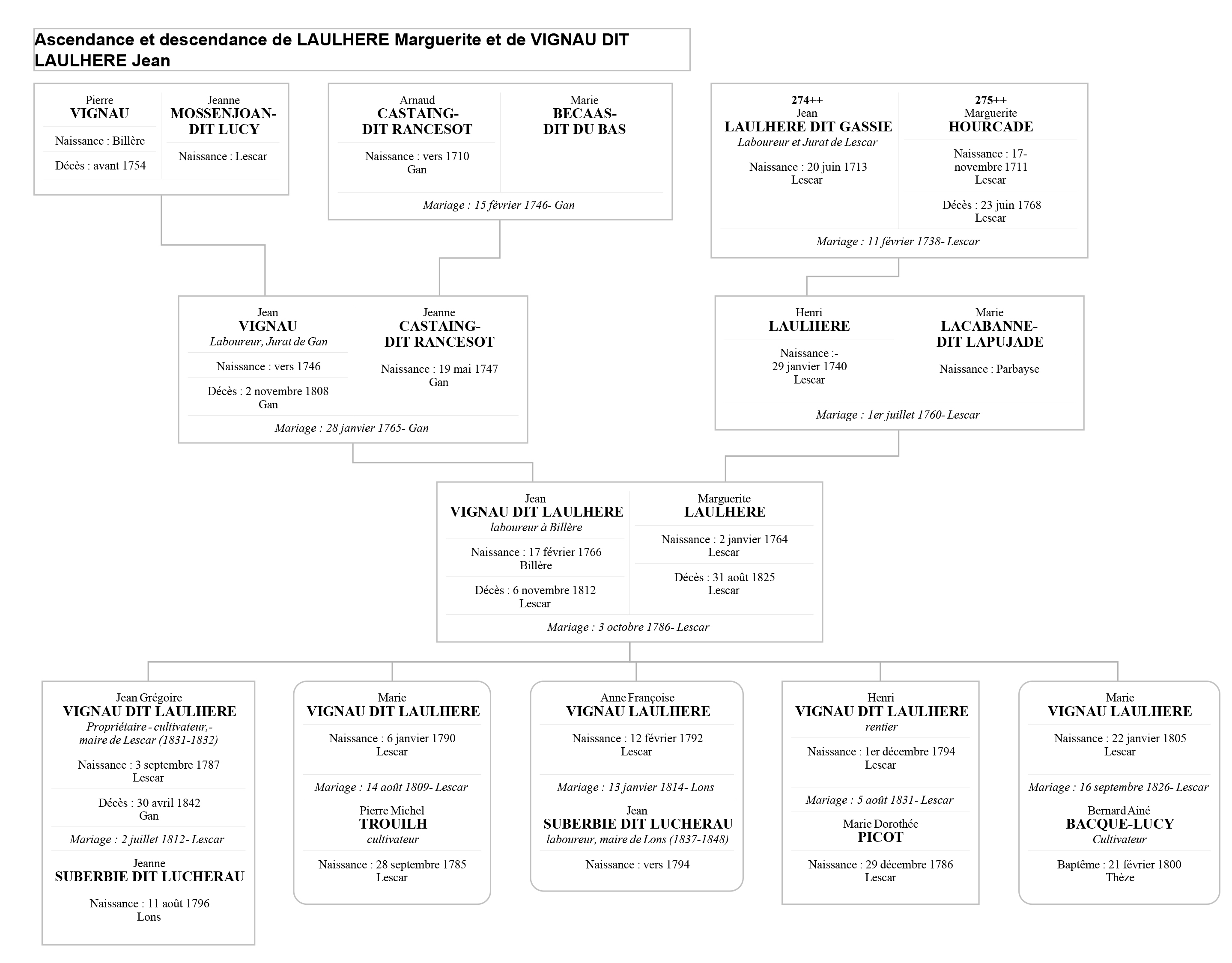 arbre des Vignau Laulhere arbre des Vignau Laulhere à Lescar